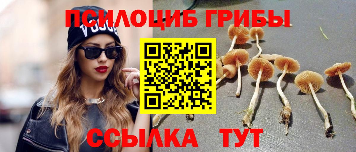 Псилоцибиновые грибы MAGIC MUSHROOMS Вичуга